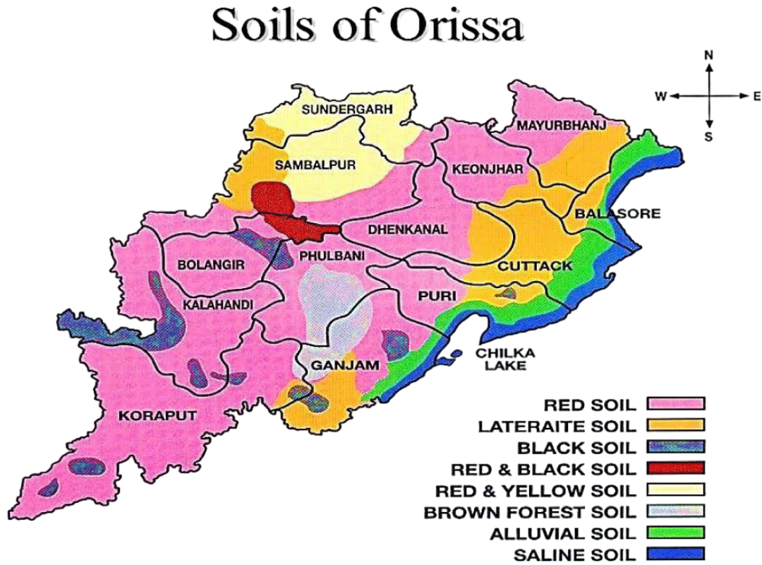 OAS Test Series Geography